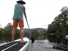 Stand Up Paddle