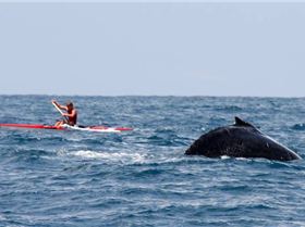 Seaway to Seaway 2008