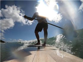 GH0101501675212796432