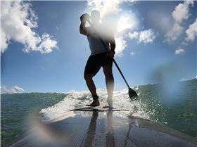 GH0101501675212913619