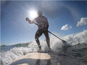 GH0101191675214248791