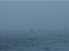 Cape Cod Bay Challenge - starting in the fog