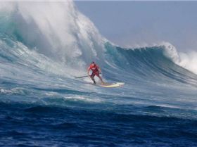 Jaimi Mitchell SUP Sunset