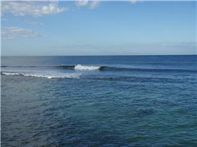 Free from lickety-splits