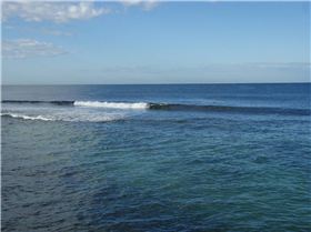 Free from lickety-splits