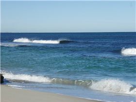 Free from lickety-splits