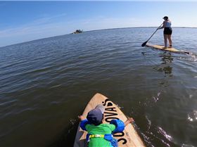 Stand Up Paddle