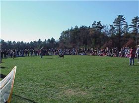 Samba soccer demonstration