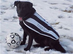 Samba soccer demonstration