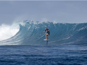 @fabiosilvestre-9894