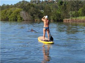 Stand Up Paddle