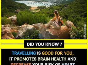 4489874861221141793703334928306659470084012740n