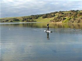 Stand Up Paddle