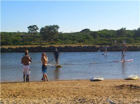 SYDNEY SUMMER SUPS DEC 28 2008