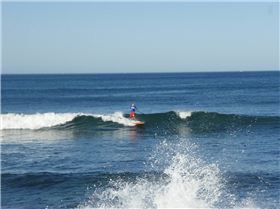 Kitersi on the Starboard 98 x 28.5