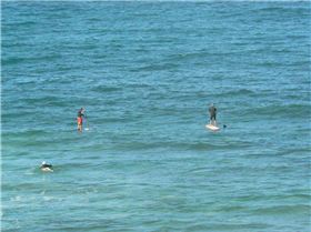 Fun in the wind. Northern reef break Perth