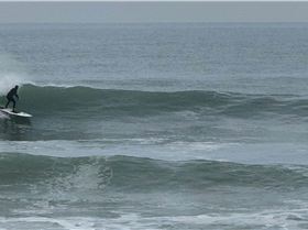 ca62a070-cf5b-47fc-b804-22acf15bf231-crop