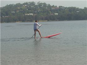 stand up paddle practice day at narrabeen lagoon