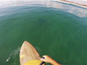 Screenshot 2025-02-18 at 7.50.15?PM