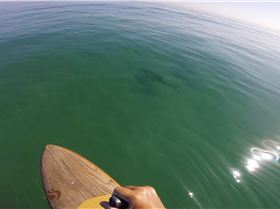 Screenshot 2025-02-18 at 7.52.09?PM