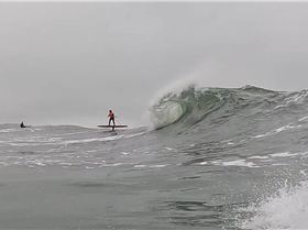 20250222 Mushroom Drop Denton