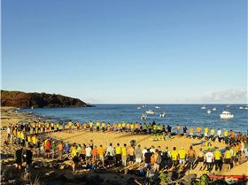 522228161185237604550126262942116942252593849n