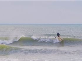 Screenshot 2026-01-26 at 12.01.01?PM