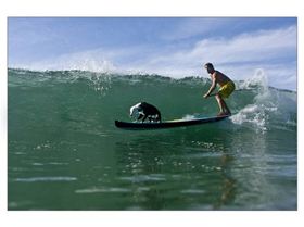  Q2Q8903Chris  Lani  8 -1