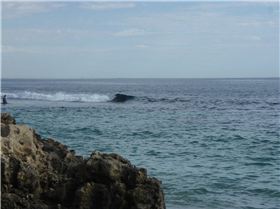 Millers solo session