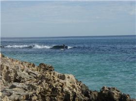 Millers solo session