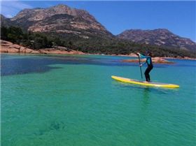 n538043519 1444907 4388