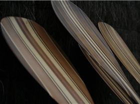 Clifton Paddles