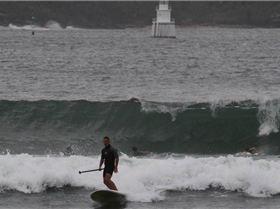 Sydney Harbour SUP