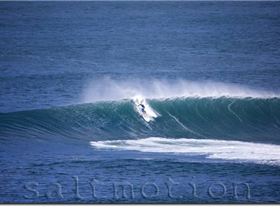 queenscliff bombie25409