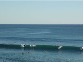 drop in for a cup of tea