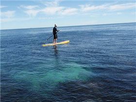Stand Up Paddle