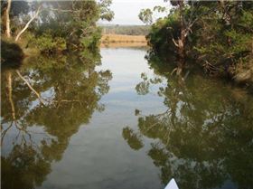 ANGLESEA RIVER 031