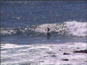 dogman @ the bay 13 cutty