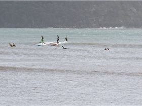 Casso 12' gun - new Sydney SUP spot