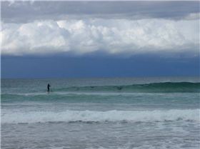 Crowded out by dolphins