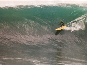 Chris Bertish at Dungeons