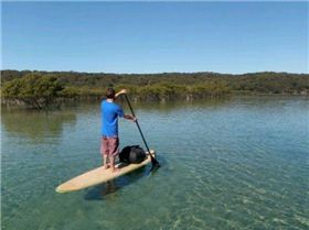 Treehouse Paddle Camper SUP