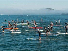 Hennessey International 2009