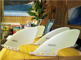 Curtis Fins