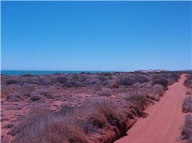 Day 1-Middle of Nowhere