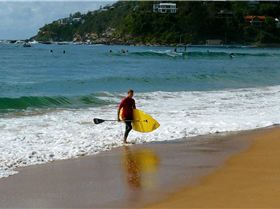 SPSC Palm Beach event