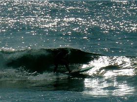 SPSC Palm Beach event