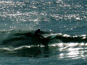 SPSC Palm Beach event