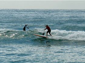 SPSC Palm Beach event