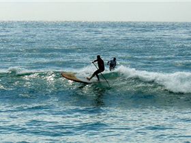 SPSC Palm Beach event